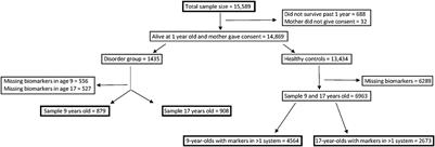 Childhood adversity, allostatic load, and adult mental health: Study protocol using the Avon Longitudinal Study of Parents and Children birth cohort